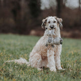 Hundespielzeug Billund Plüsch