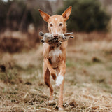 Hundespielzeug Billund Plüsch