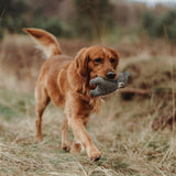 Hundespielzeug Billund Plüsch