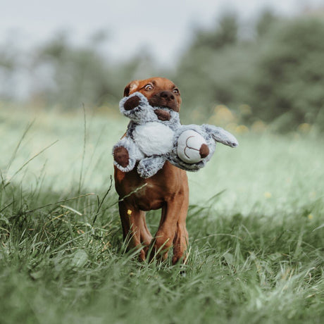 HUNTER Hundespielzeug Faro – Hund 19 cm