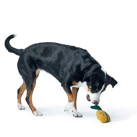 Hundespielzeug Florenz Upcycling