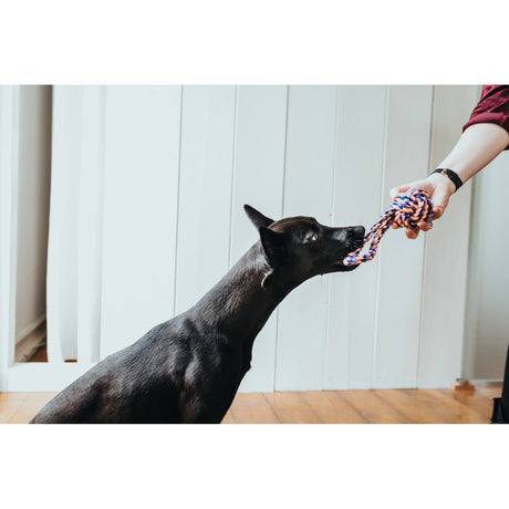 Hunter Hundespielzeug Jena – Ball mit Handschlaufe, Gr. S: 21 cm