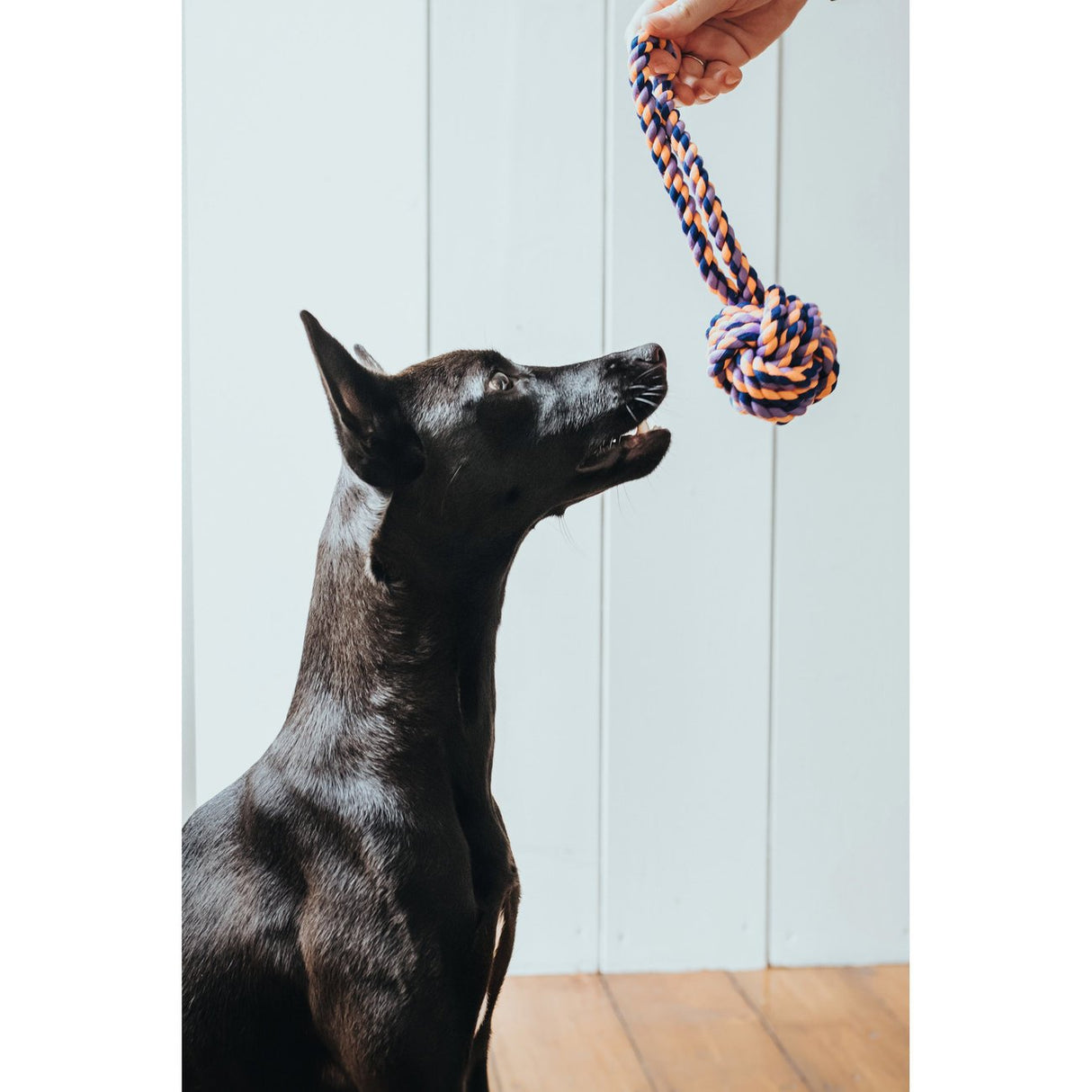 Hunter Hundespielzeug Jena – Ball mit Handschlaufe, Gr. M: 24 cm
