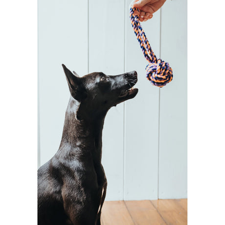 Hunter Hundespielzeug Jena – Ball mit Handschlaufe, Gr. M: 24 cm