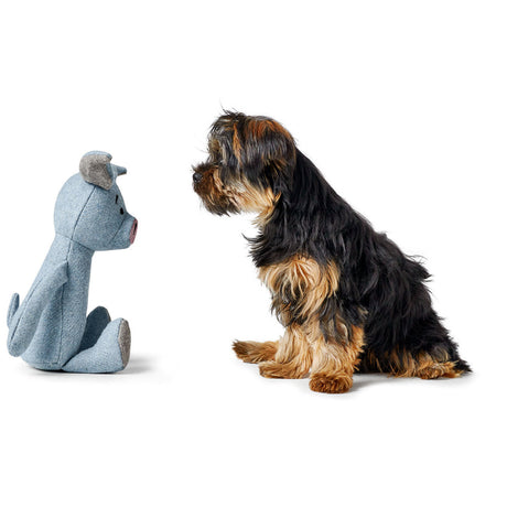 Hundespielzeug Marle