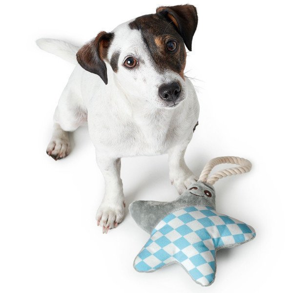 Hunter Hundespielzeug Salima – Stern grau, 17 cm