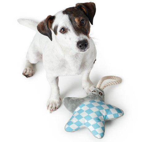 Hunter Hundespielzeug Salima – Stern grau, 17 cm