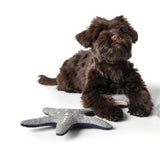 Hundespielzeug Skagen – Seestern, 20 cm, grau/blau