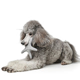 Hundespielzeug Skagen – Seestern, 20 cm, grau/blau