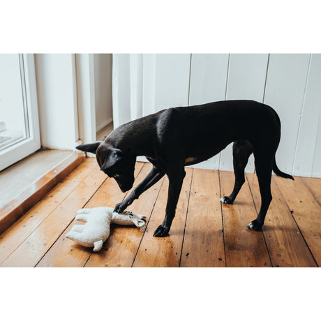 Hunter Hundespielzeug Tirana