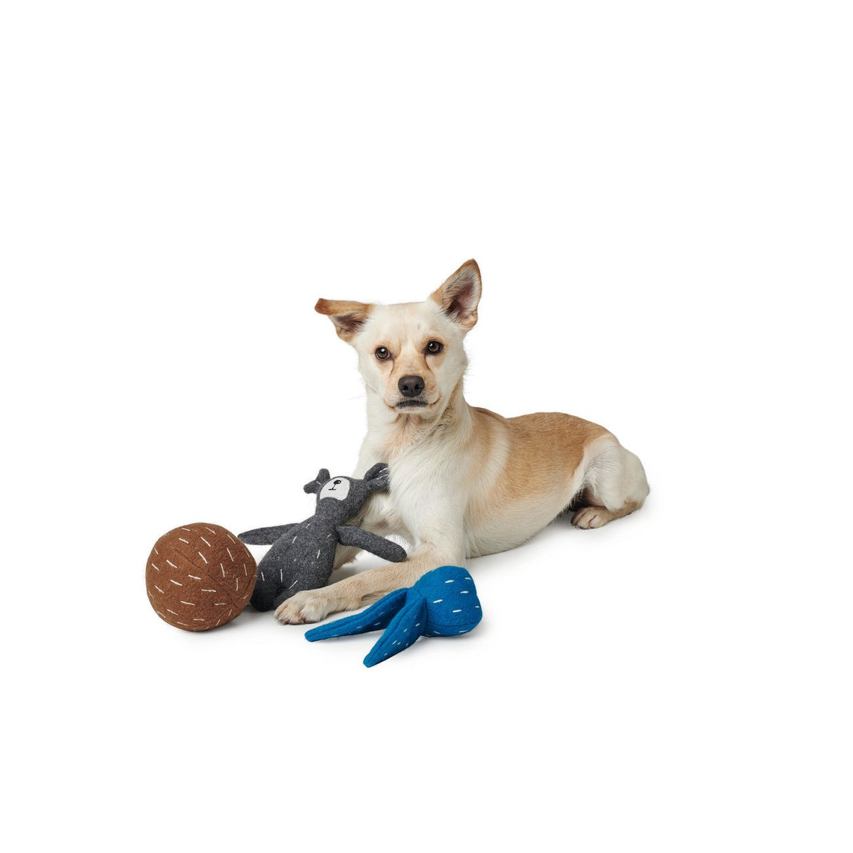 Hunter Hundespielzeug Tirana