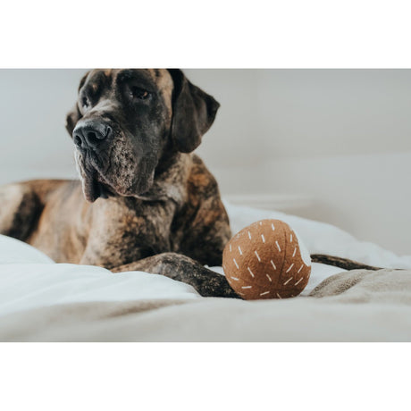 Hunter Hundespielzeug Tirana
