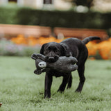 Hunter Hundespielzeug Tirana