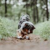 Hunter Hundespielzeug Tirana – Ball, 10 cm