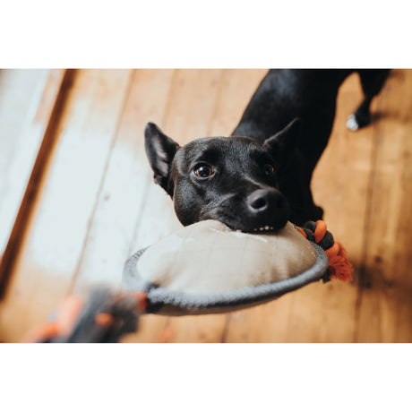 Hunter Hundespielzeug Tough Pombas – Football
