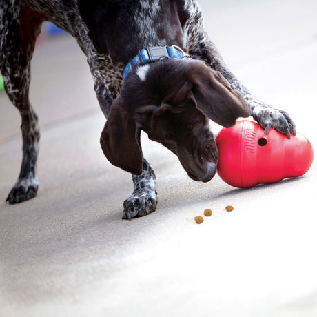 KONG Wobbler Steh-auf-Männchen für Hunde