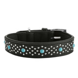 Leder Hundehalsband Madona