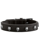 Leder Hundehalsband Mombasa