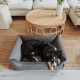 Orthopädisches Hundesofa Merida