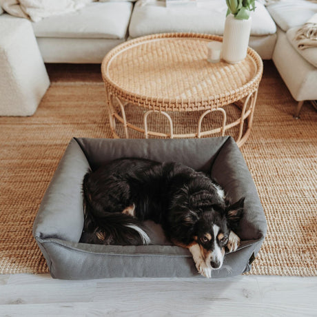 Orthopädisches Hundesofa Merida