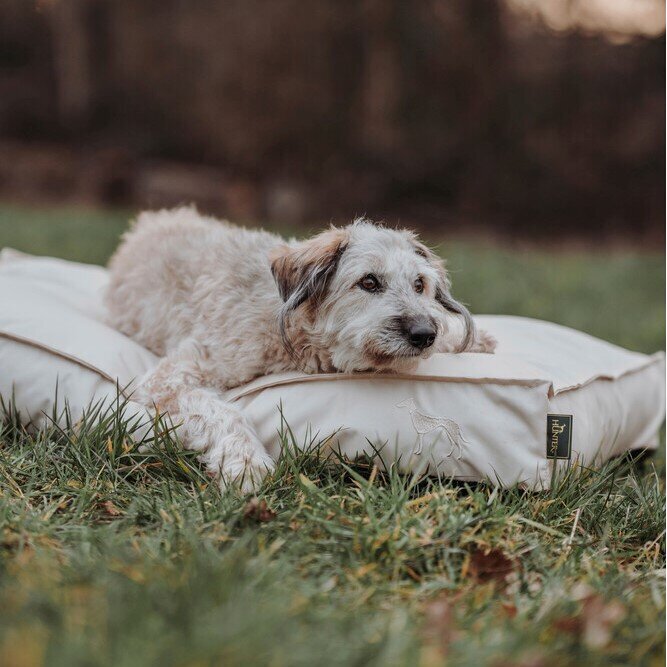 Outdoor Hundekissen Ribe