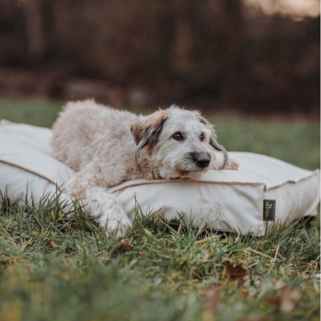 Outdoor Hundekissen Ribe