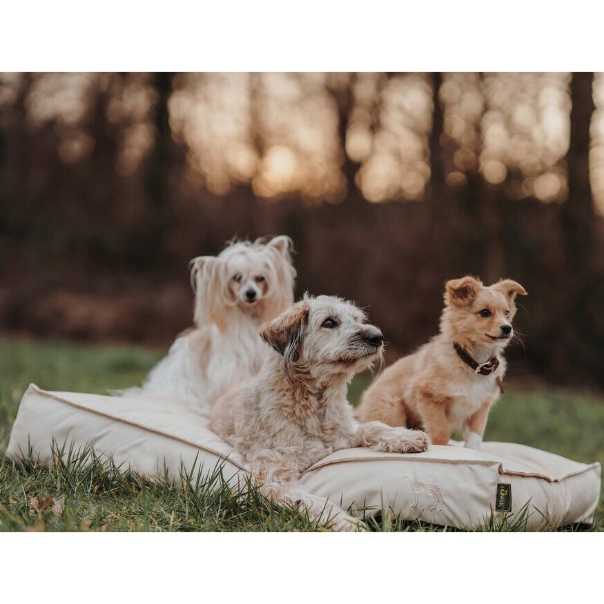 Outdoor Hundekissen Ribe