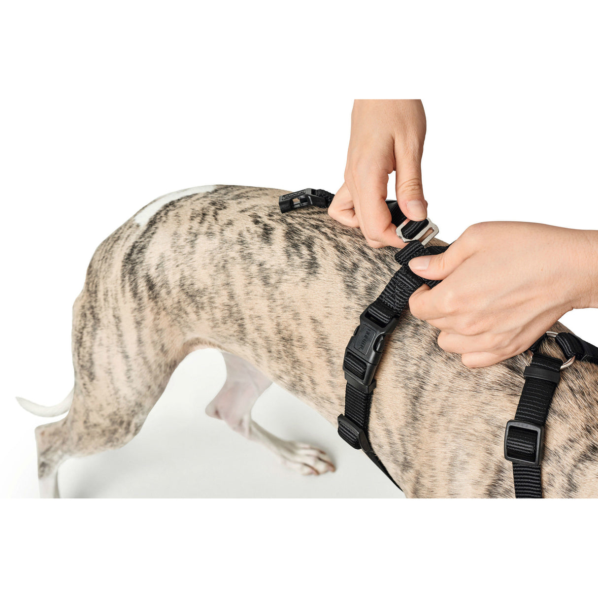 Hunter Panikgeschirr für Hunde Vario Rapid