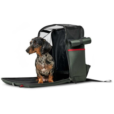 Hunter Rucksack Orlando