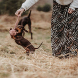 Schleuderball Inari für Hunde