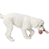 Schleuderball Inari für Hunde