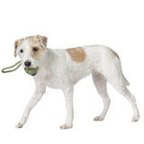 Schleuderball Inari für Hunde