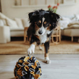 Schnüffelball Eiby für Hunde