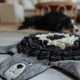 Schnüffelteppich Billund für Hunde