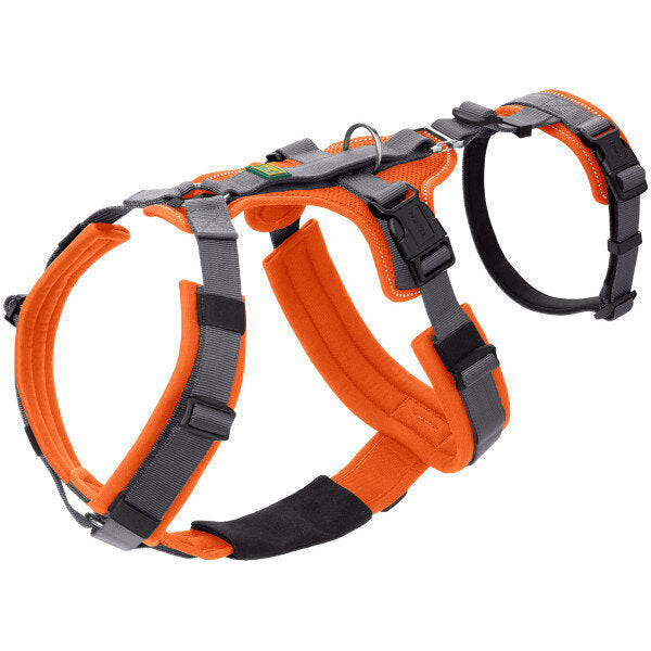 Sicherheitsgeschirr Maldon