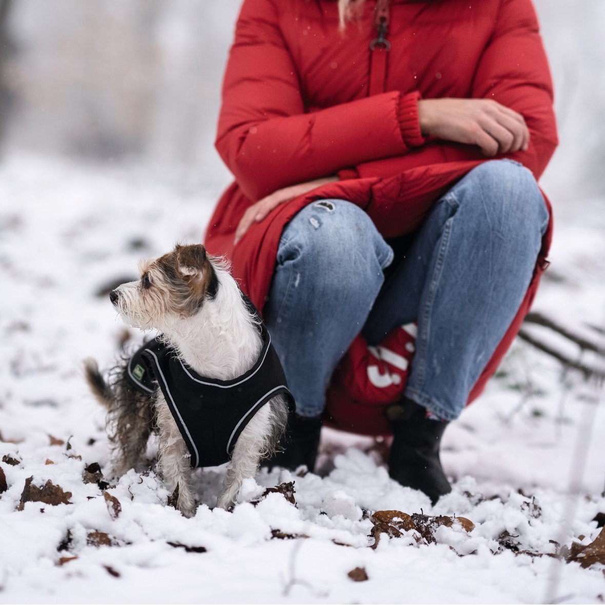 HUNTER Softshell Hundemantel Uppsala