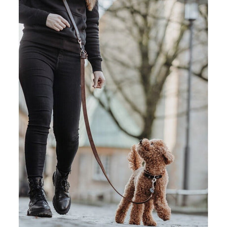 Stufenlos verstellbare Umhängeleine Aalborg