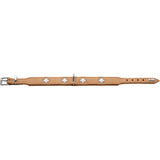 Hunter Swiss Halsband