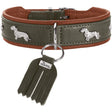 Teckel Halsband München