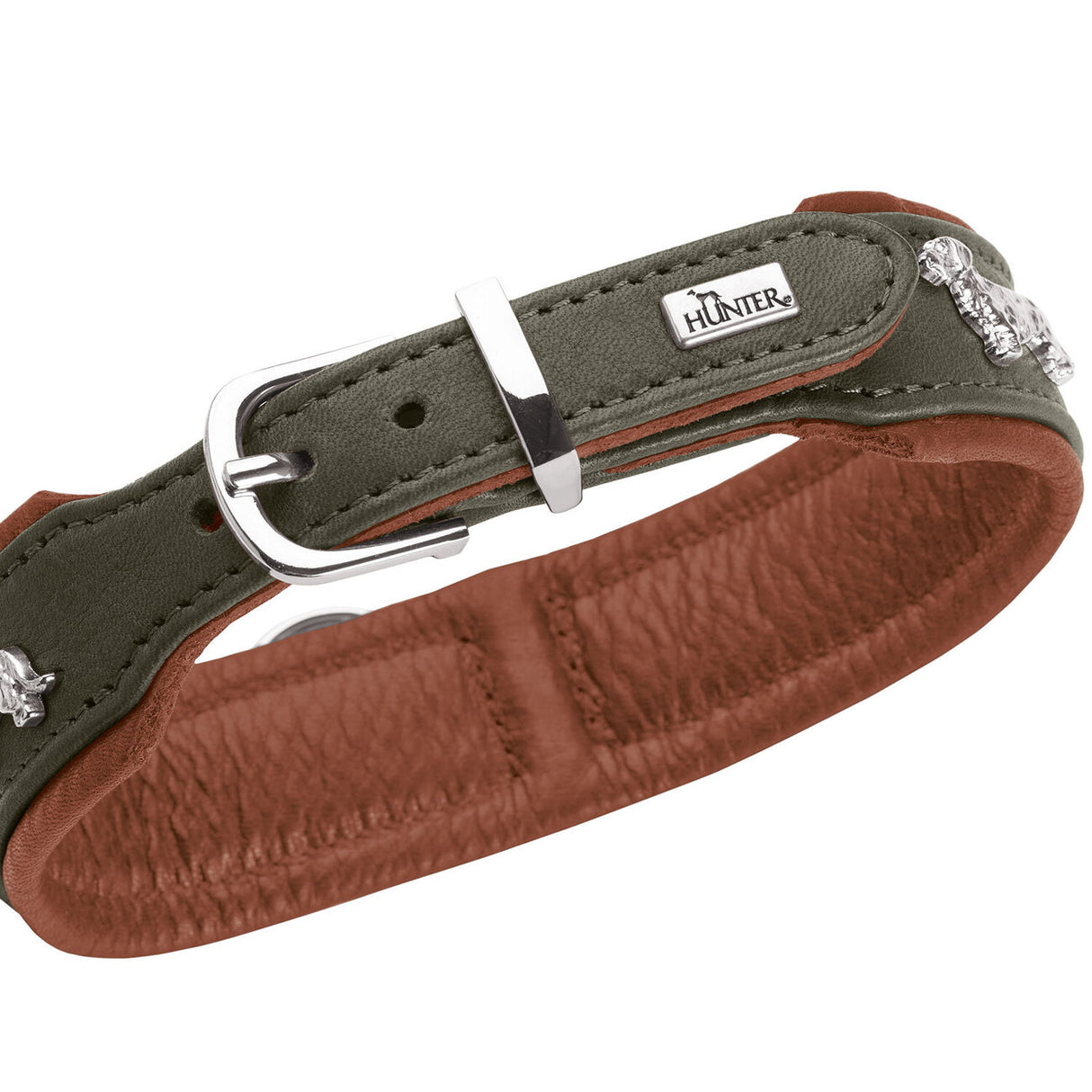 Teckel Halsband München
