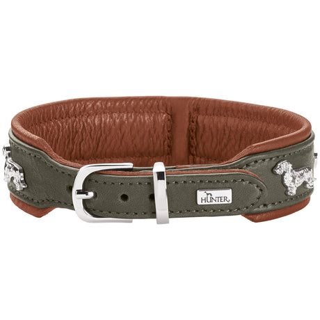 Teckel Halsband München