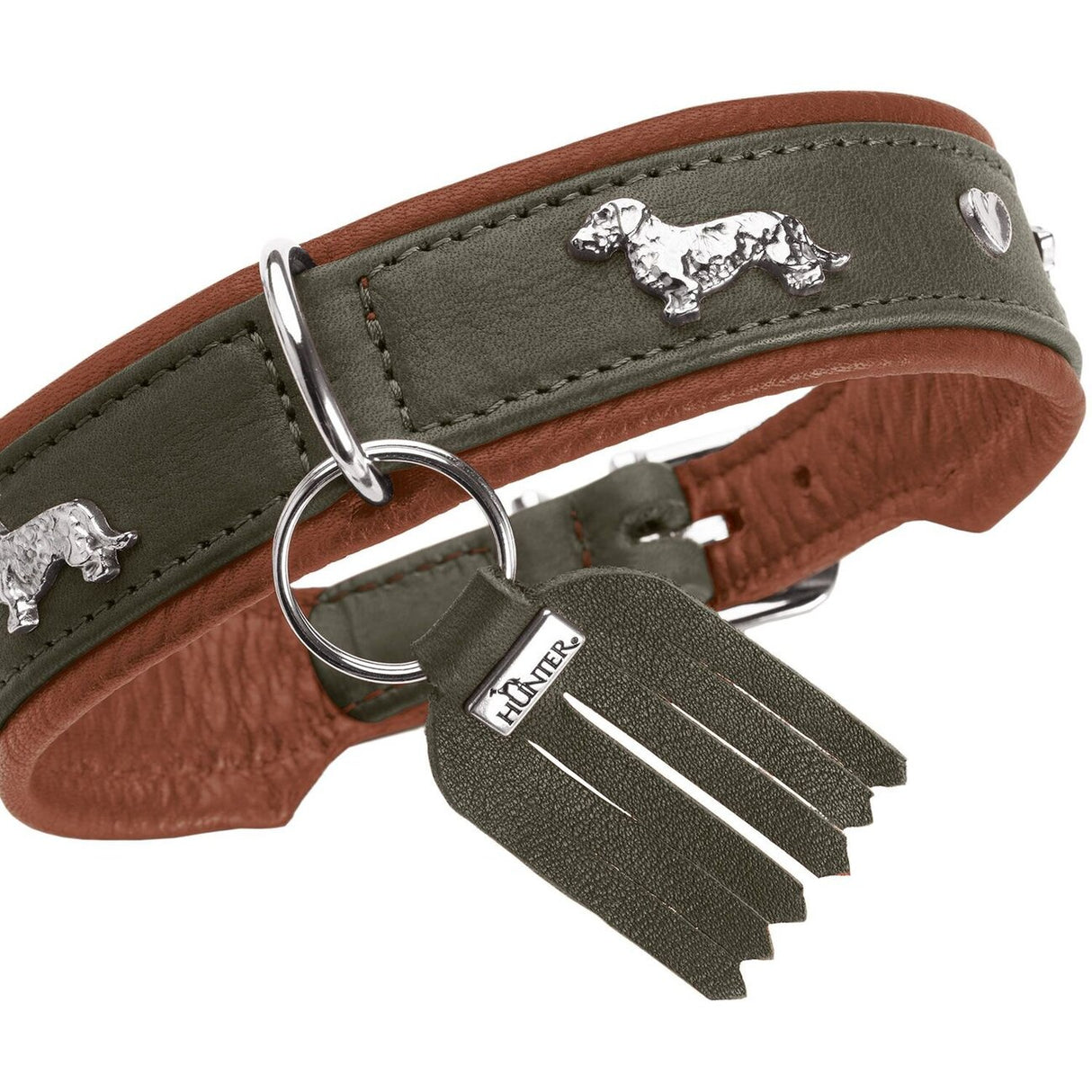 Teckel Halsband München