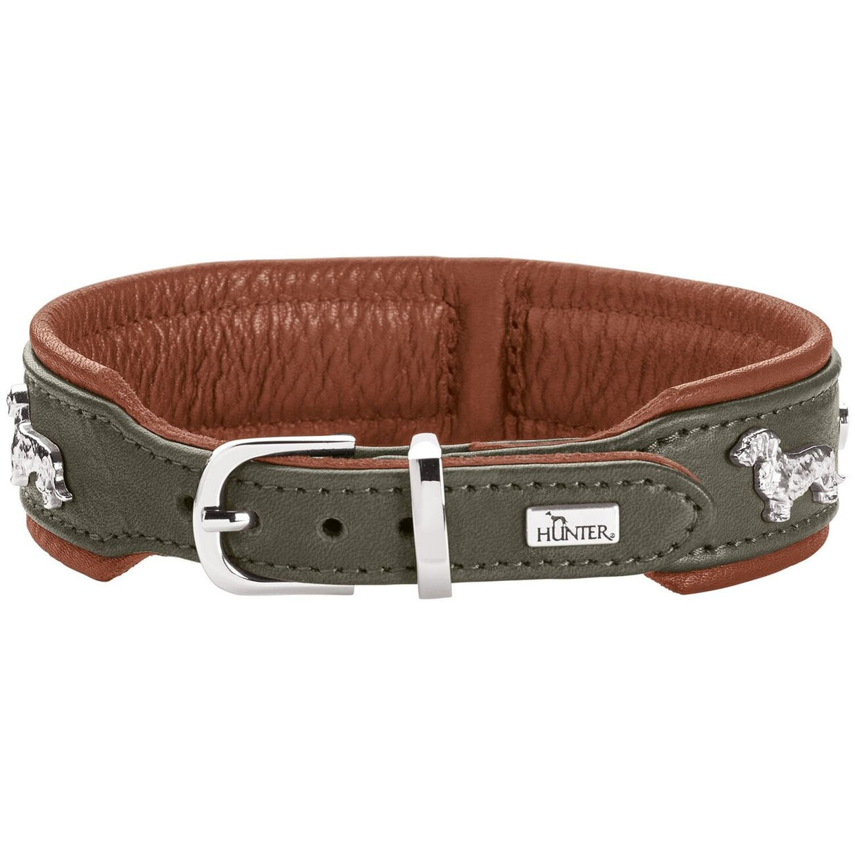 Teckel Halsband München