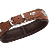 Teckel Halsband München