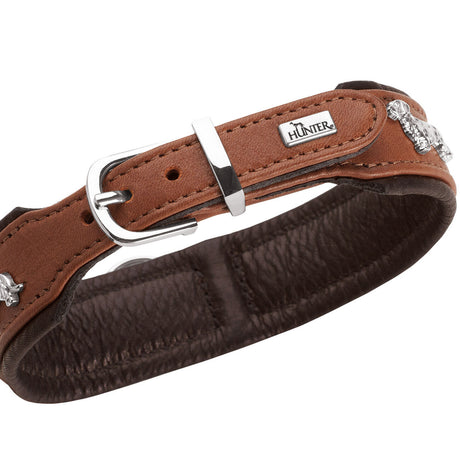 Teckel Halsband München