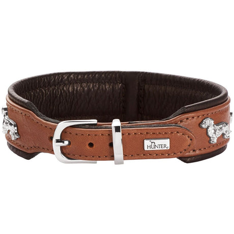 Teckel Halsband München