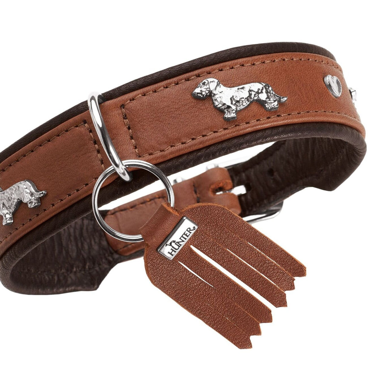 Teckel Halsband München