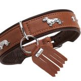 Teckel Halsband München