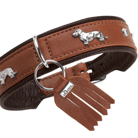 Teckel Halsband München