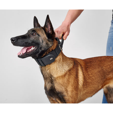 Hunter Trainingshalsband mit Griff Larvik